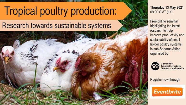 Tropical Poultry Production: Research Towards Sustainable Systems | IVVN